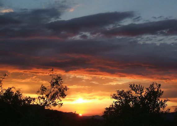 Daylight Saving Time: Boosting Sales and Productivity