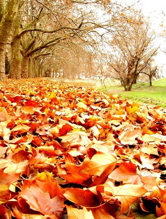 3 Reasons Why Fall is Utah’s Best Season